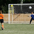 Miniatyrbillede 5 af 5: 2 fodboldmål positioneringstræning hjælpenet, skydetræningsmål, fodboldtræningstilbehør, sort Black
