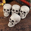 Miniatyrbillede 2 af 3: 2 stk. Halloween Kunstig Kranie Bordplade Kranie Ornament Spøgelseshus Rekvisitter Festartikler