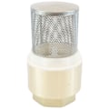 Miniatyrbillede 5 af 5: Sugfilter Kit, 3/4\", Messing, Fodventil med Tilbageklap