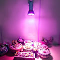 Miniatyrbillede 2 af 4: Pære Gro Lys, LED Gro Lys Pære 50W E27 Høj Effekt Panel Ful