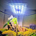 Miniatyrbillede 3 af 5: Super Slim Akvarium Fisketank LED Lys Klemme-på Lampe Vandplanter