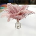 Miniatyrbillede 4 af 5: 10 stk farvede strudsefjer til håndværk Bryllupsdekoration tilbehør Læder Pink 30-35 cm 12-14 tommer)