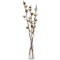 Miniatyrbilde 1 av 3: 3 ekte bomullsgrener - 50 cm - 7 til 9 blomster per bomullsgren - ekte plante, tørket, veldig slitesterk