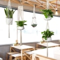 Miniatyrbild 5 av 5: Macrame växthängare med krokar, hängande set inomhus utomhus 5 pack