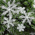 Miniatyrbillede 1 af 5: 60 stk Julepynt Snefnug Hvid Plast Kunstig Sne 22CM