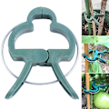 Pikkukuva 1 / 4: Puutarhakasvien kukkatarrainpidikkeet kasvien varren tukemiseen Small Small 10Pcs