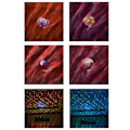 Miniatyrbillede 4 af 4: 8w Led Tooth Project S Remote Music Lamp ()