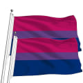 Miniatyrbillede 1 af 5: 2 Stk Flag - Levende Farver og Fade Proof - Lærred Header og dobbelt syet