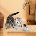 Miniatyrbild 5 av 5: - USB Uppladdningsbar Pet Play Rattle Mouse Toy 15 10 5 Cm Activity Interactive Toy