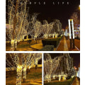 Miniatyrbillede 2 af 5: Gypsophila lyssnor Julelys bryllup snor lys ferie dekoration 20M-200LED