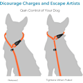 Miniatyrbillede 3 af 5: Hundetræning Slip Leash, Dog Slip Lead, Hvalpe Lydighed Recall Training