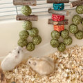 Pikkukuva 3 / 5: Hamsteri Tuggleksak Kaniner Bunny Chew Leksaker Poskitanko Tänder Rengöring Friskt gräs Pallohamsteri Leksak Djurtillbehör Stad Random Color A