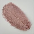 Miniatyrbillede 1 af 5: 10 stk farvede strudsefjer til håndværk Bryllupsdekoration tilbehør Læder Pink 30-35 cm 12-14 tommer)