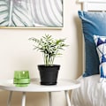 Miniatyrbild 2 av 3: 6 st 5 tums blomkruka i plast svart bevattningssystem med avgashål
