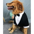 Miniatyrbilde 2 av 3: Stort hundesmoking bryllupsfestsett til hundekostyme