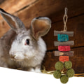 Pikkukuva 5 / 5: Hamsteri Tuggleksak Kaniner Bunny Chew Leksaker Poskitanko Tänder Rengöring Friskt gräs Pallohamsteri Leksak Djurtillbehör Stad Random Color A