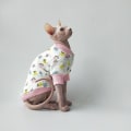 Miniatyrbild 3 av 5: Hårlösa kattkläder Varm bomull Katt Sphinx Devon Kattkläder Mjuka hudvänliga kattkappor Katttillbehör Katttillbehör 1 L