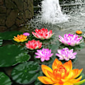 Miniatyrbillede 5 af 5: 5 stk Kunstig åkande Flydende Lotus Blomsterdam Hjem Bryllupsindretning 10cm