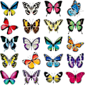 Pikkukuva 1 / 5: 20 Butterfly Window Adhesive Decal