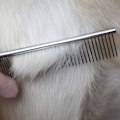 Miniatyrbillede 3 af 5: Pet Steel Kam afrundede ender Rustfrit stål Grooming Deshedding Tool