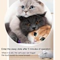 Miniatyrbild 3 av 5: - USB Uppladdningsbar Pet Play Rattle Mouse Toy 15 10 5 Cm Activity Interactive Toy