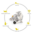 Miniatyrbild 3 av 5: Hhcx-tumbler Swing Toys For Cats Kitten Interactive Balance Car Cat Chasing Toy With Catnip(black)