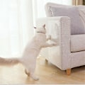 Miniatyrbild 1 av 5: Hhcx-2 Pc Cat Anti Scratch Toys Sofa/door/floor Scratch Prevention Guard Can Be Used Repeatedly(50*15cm)