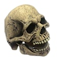 Miniatyrbillede 1 af 3: Bone Skull Latex Mask Voksen Hood Halloween Party Cosplay Kostume