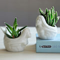 Miniatyrbillede 2 af 5: Havfrue Sukkulent Plantepotte Bambus Dræning Hvid Keramisk Cactus Container