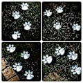 Miniatyrbild 3 av 5: Solar Lights Paw Lights (set med 4), djur Path Paw