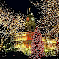 Miniatyrbild 5 av 5: Gypsophila String Lights Julbelysning Bröllop String Lights Holiday Dekoration Red 100M-800LED