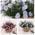 Miniatyrbillede 2 af 4: 5 stk Kunstige Blomster Silk Daisy Kunstig Daisy Til Hjem Bryllupsdekoration Purple