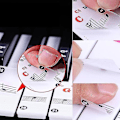 Miniatyrbillede 3 af 5: Klaver Alfabet Notes Stickers Keyboard Hand Scroll Symboler