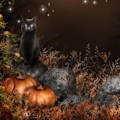Pikkukuva 4 / 4: 5*7ft Halloween Moon Q Night Vinyyli taustakuvaustarvike