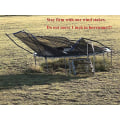 Miniatyrbild 2 av 4: Trampoliner Wind Stakes Heavy Duty U-typ Skarpa ändar Markankare, 6 tum 8st 8pcs