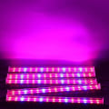 Miniatyrbild 3 av 5: T5 Led Plant Fill Light Plant Growth Strip Suckulent Vegetabilisk Blomma Plant Lamp