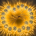 Miniatyrbillede 5 af 5: 10ft 20 Led Marokkansk Globe Led Fairy String Lights til jul (varm hvid) Warm White