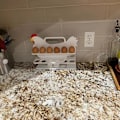 Miniatyrbild 2 av 2: Displayställ för äggförvaring White