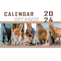 Miniatyrbild 2 av 5: Den nya Cat Balls Calendar 2024, Funny Cat Butthole Calendar 12-månaders Cat Balls Calendar, New Funny Cat Ball Wall Calendar 2024, Julklapp