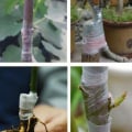 Miniatyrbild 5 av 5: Ymptejp Självhäftande Stretchable Nursery Tejp 100m