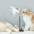 Miniatyrbild 5 av 5: Cat Toys Interactive Feather Toys Sugkoppar Husdjur inomhusleksaker