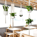 Miniatyrbild 5 av 5: Macrame växthängare med krokar, hängande set inomhus utomhus 5 pack