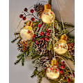 Miniatyrbild 2 av 3: Christmas Light String Led Rumsdekoration Julgran String Light Party Festoon Light Year Bulb Light String
