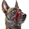 Miniatyrbillede 1 af 5: Hundemundkurv Nylon blød polstring, justerbar løkke, sort