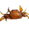 Pikkukuva 4 / 5: 1 kpl Silicone Road Bait 3D Simulaatiorapusyötti koukkusyötillä Tackleorange