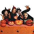 Pikkukuva 5 / 5: 2 kpl Halloween-hämähäkinverkko pöytäliina - Halloween-teemajuhlan koristelu ZB-04