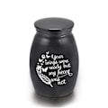 Miniatyrbillede 1 af 5: Mindesmærke af aluminiumslegering til kæledyrskisteurne - lille souvenirurne S Sort urne C S Black Urn C