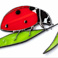 Pikkukuva 5 / 5: Lady Bug Suncatcher lasimaalaukset