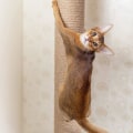 Miniatyrbilde 2 av 5: Sisal Rope Cat Tree Diy Grab Post Toy Cat Klatrestativ erstatning R