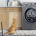 Miniatyrbild 2 av 5: Hhcx-2 Pc Cat Anti Scratch Toys Sofa/door/floor Scratch Prevention Guard Can Be Used Repeatedly(50*15cm)